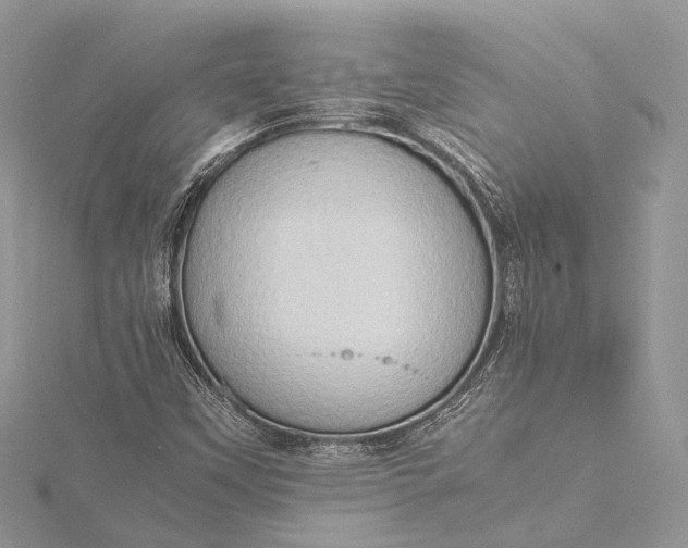 X0000115511451200911201629