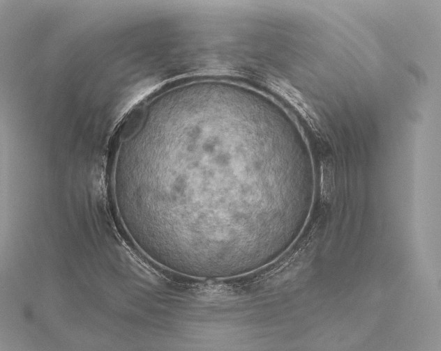 X0000115511452200911201629