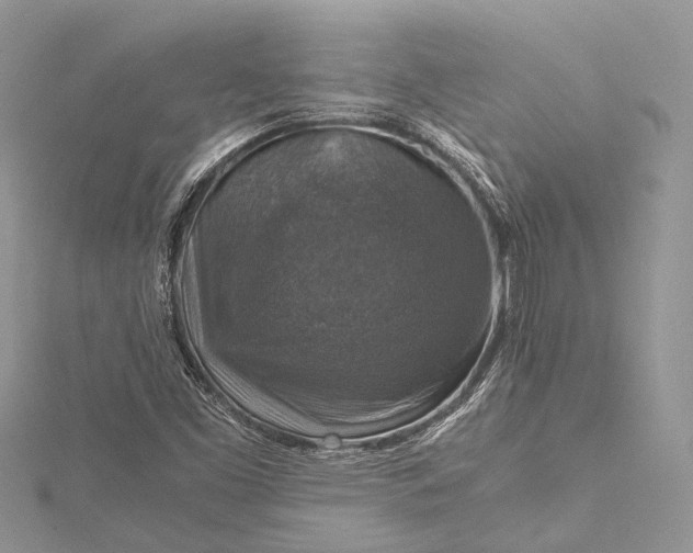 X0000115511453200911201629