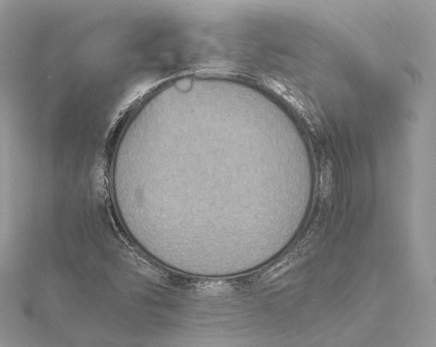 X0000115511454200911201629