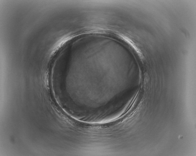 X0000115511455200911201629