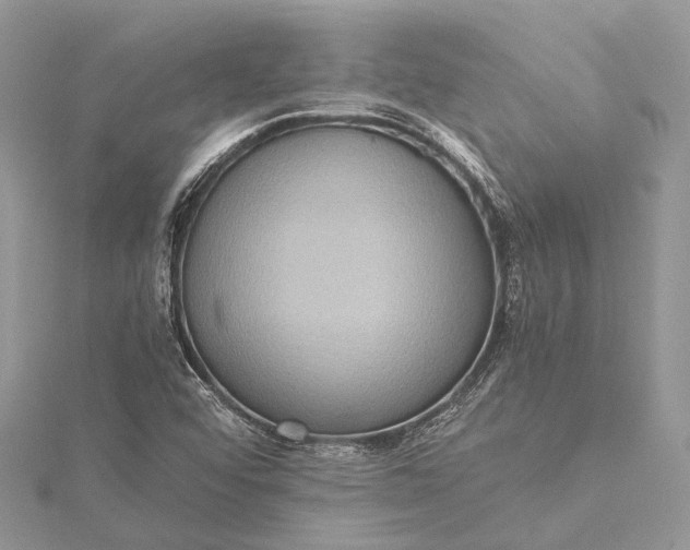 X0000115511456200911201629