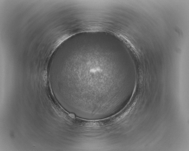 X0000115511457200911201629