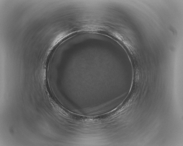 X0000115511459200911201629