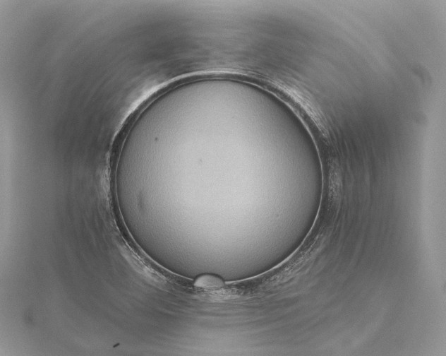 X0000115511460200911201629