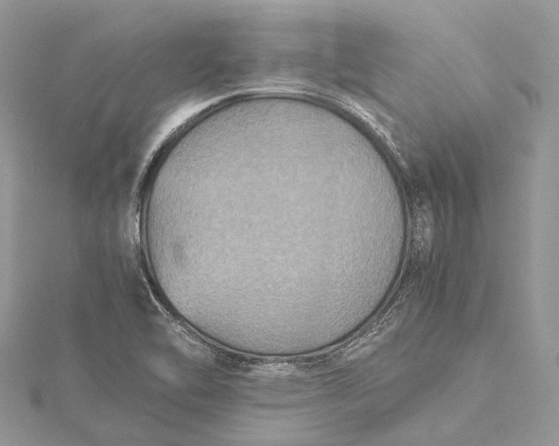 X0000115511462200911201629