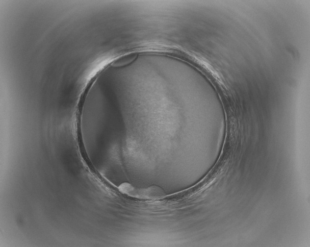 X0000115511463200911201629