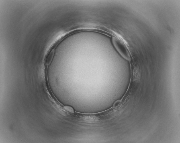 X0000115511464200911201629