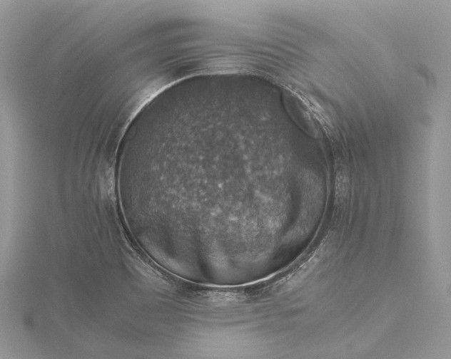 X0000115511465200911201629