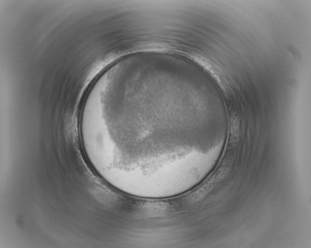 X0000115511466200911201629