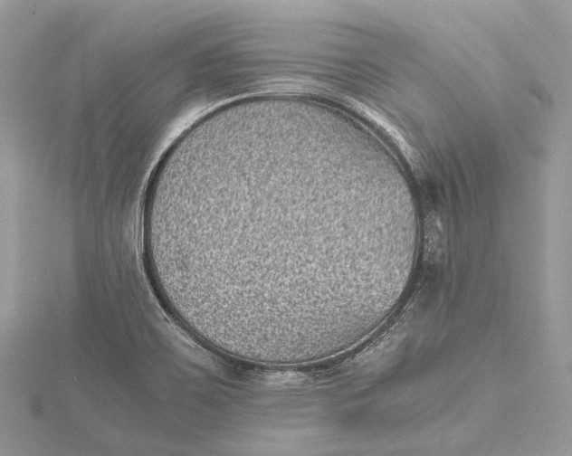 X0000115511467200911201629