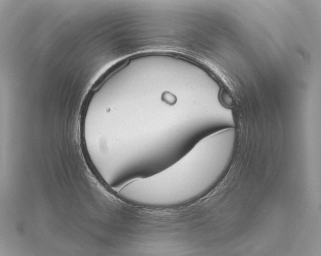 X0000115511468200911201629