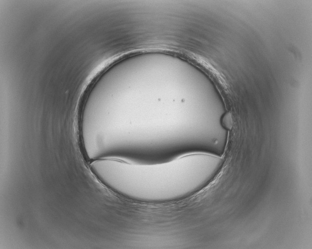 X0000115511469200911201629