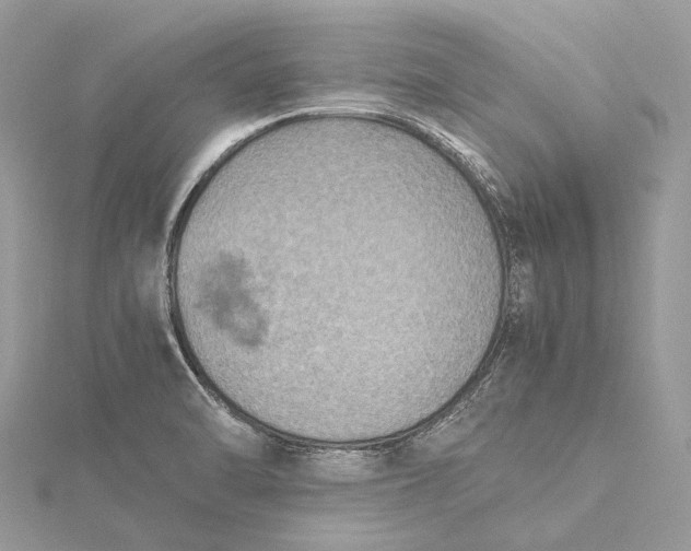 X0000115511470200911201629