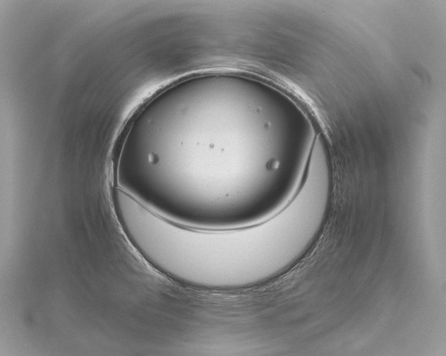 X0000115511472200911201629