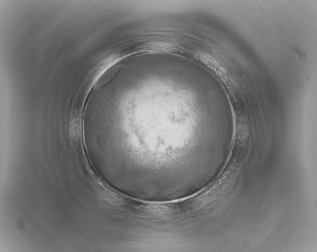 X0000115511473200911201629