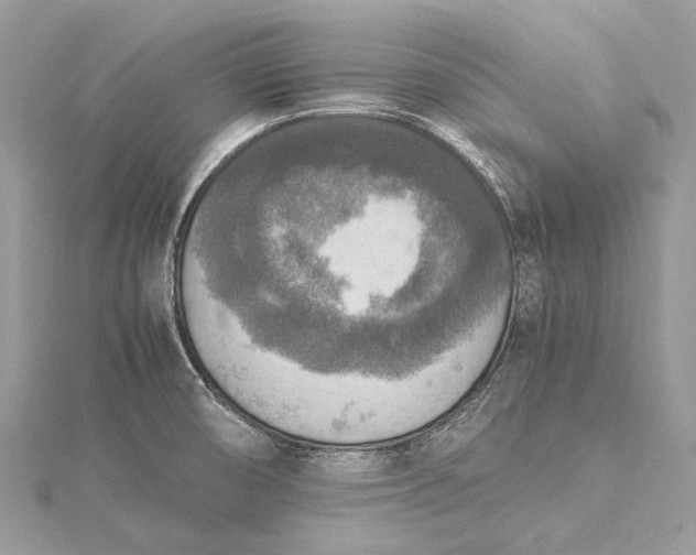 X0000115511474200911201629