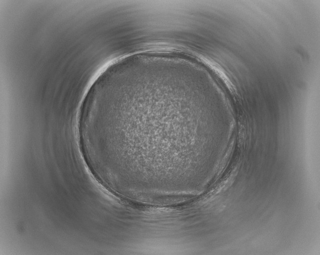 X0000115511475200911201629