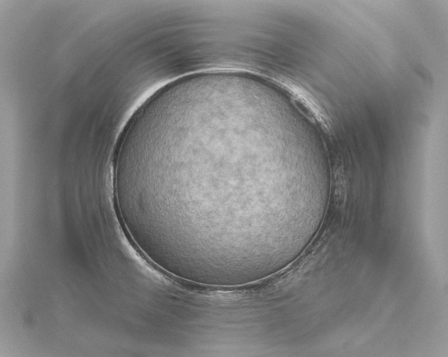 X0000115511476200911201629