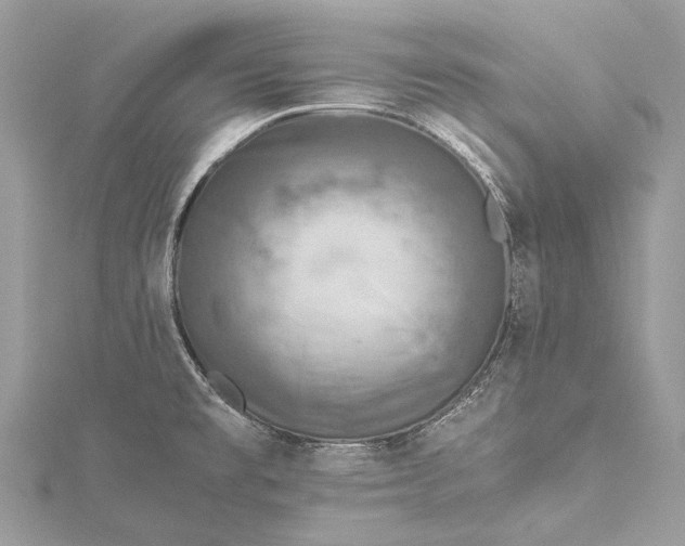 X0000115511477200911201629