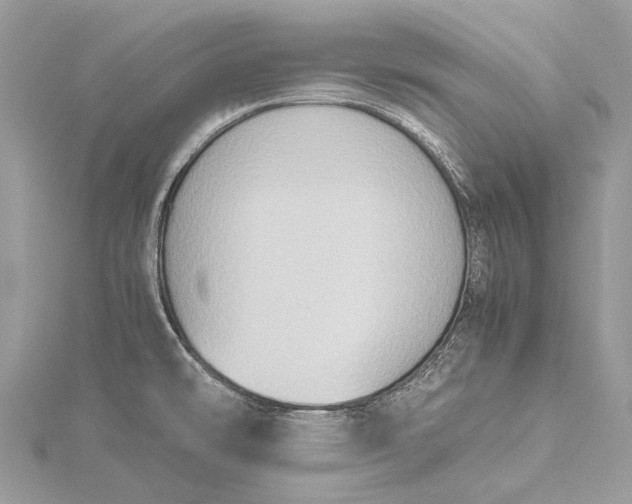 X0000115511478200911201629