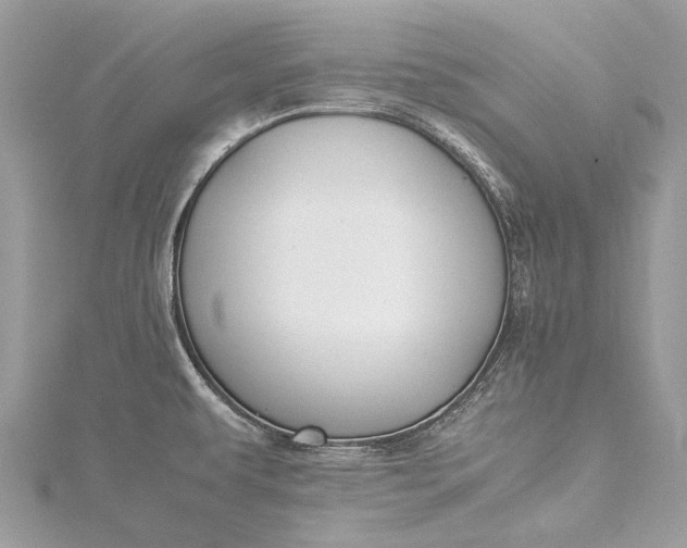 X0000115511479200911201629