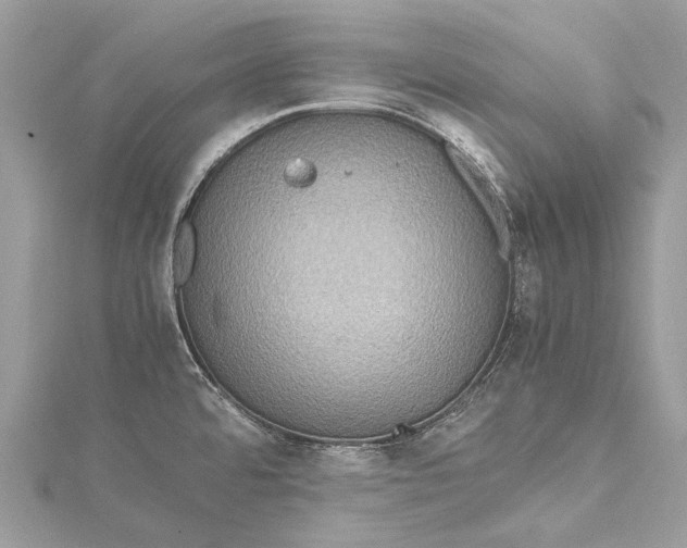 X0000115511480200911201629