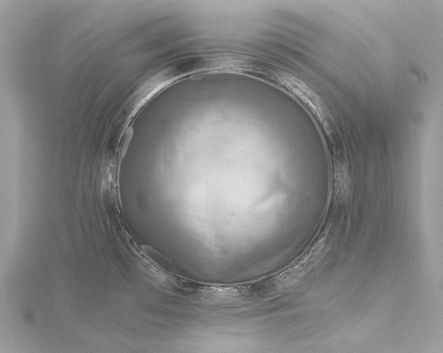 X0000115511481200911201629