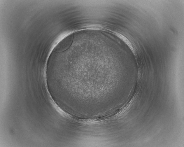 X0000115511482200911201629