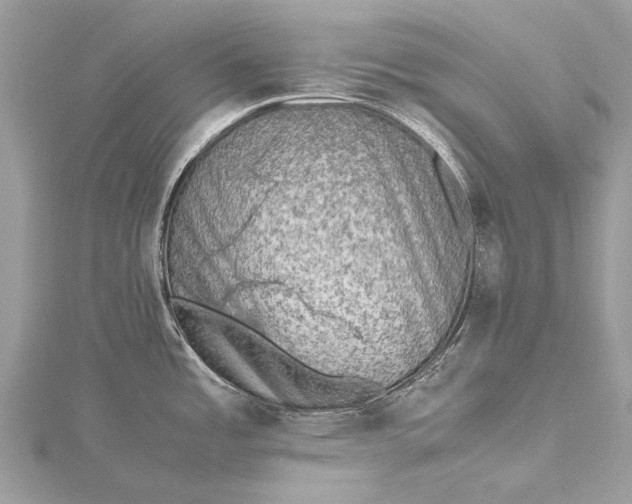 X0000115511485200911201629