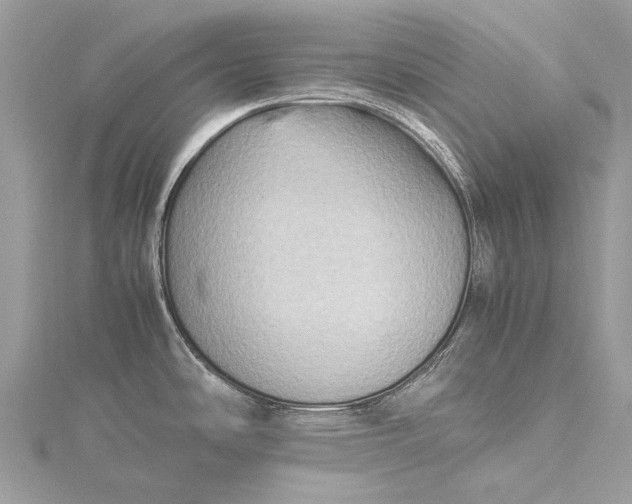 X0000115511486200911201629