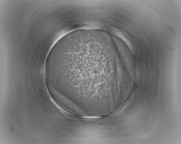 X0000115511487200911201629