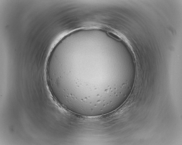 X0000115511488200911201629