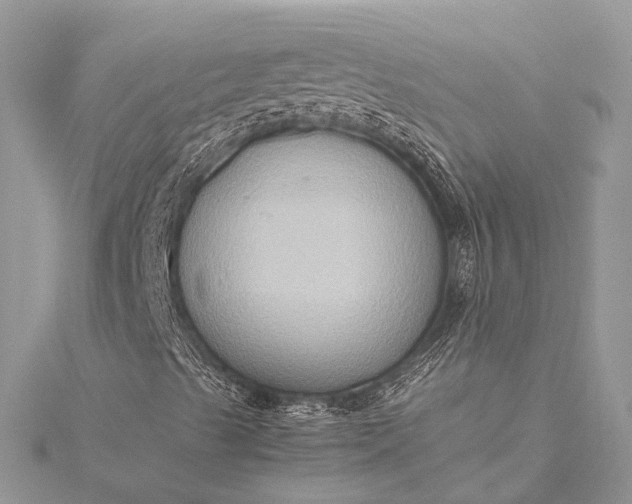 X0000115511489200911201628