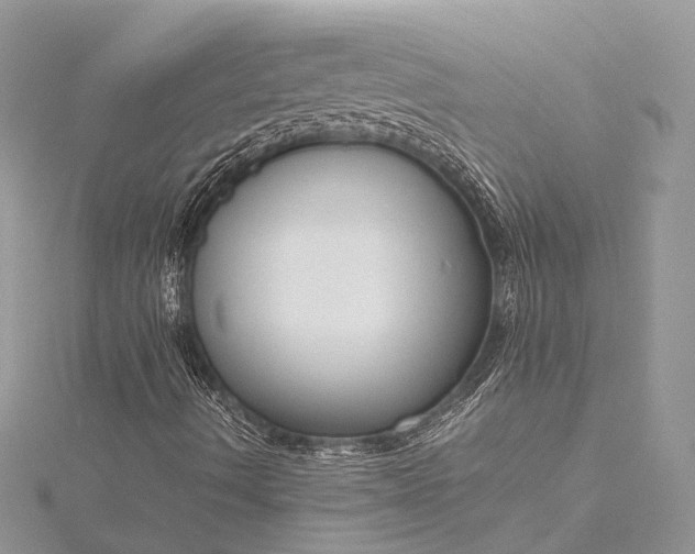 X0000115511490200911201628