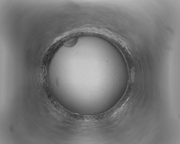 X0000115511494200911201628