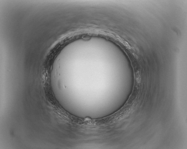 X0000115511495200911201628