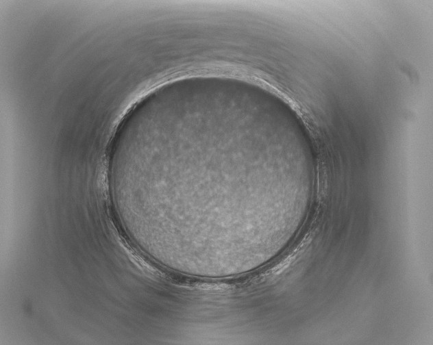 X0000115511498200911201628