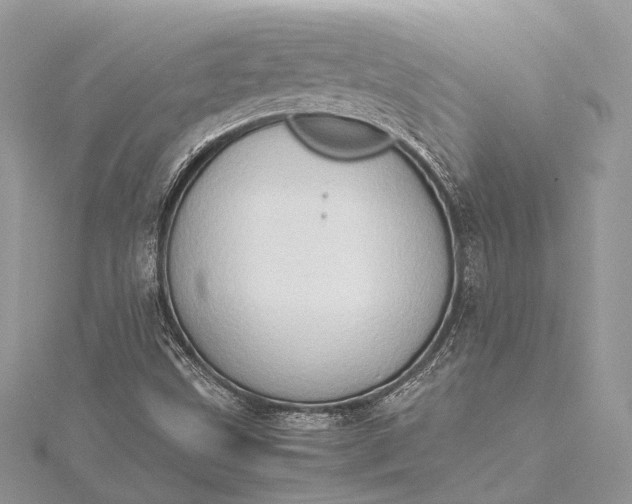 X0000115511499200911201628