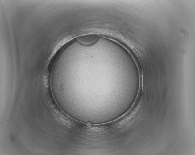 X0000115511501200911201628