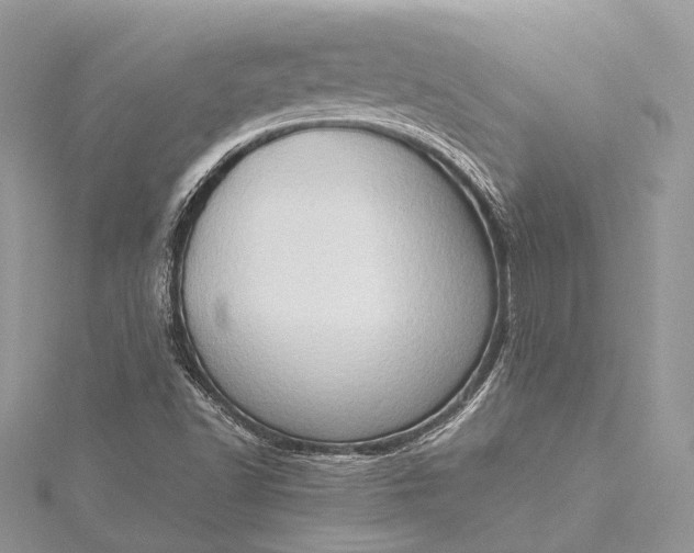 X0000115511502200911201628