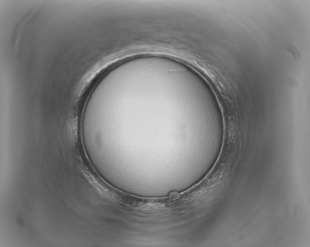 X0000115511503200911201628