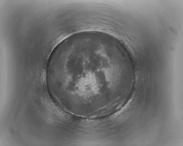 X0000115511505200911201628