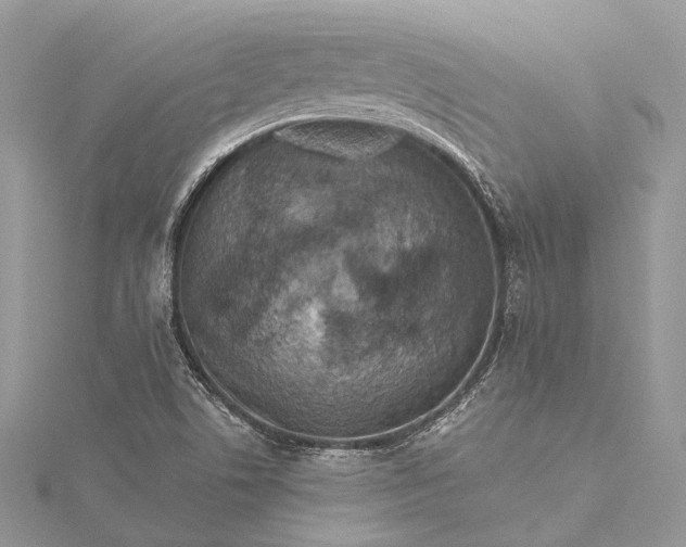 X0000115511506200911201628