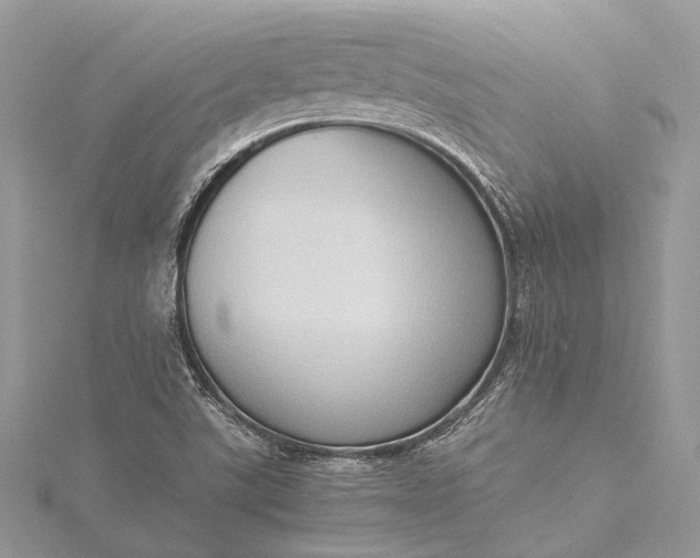 X0000115511507200911201628