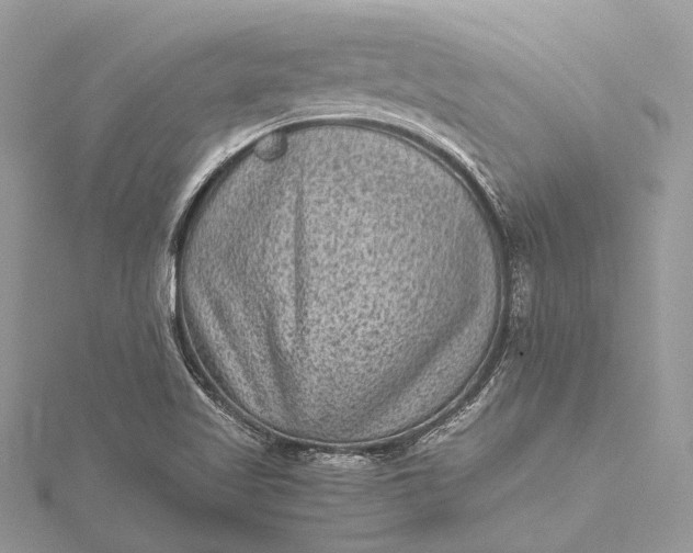 X0000115511509200911201628