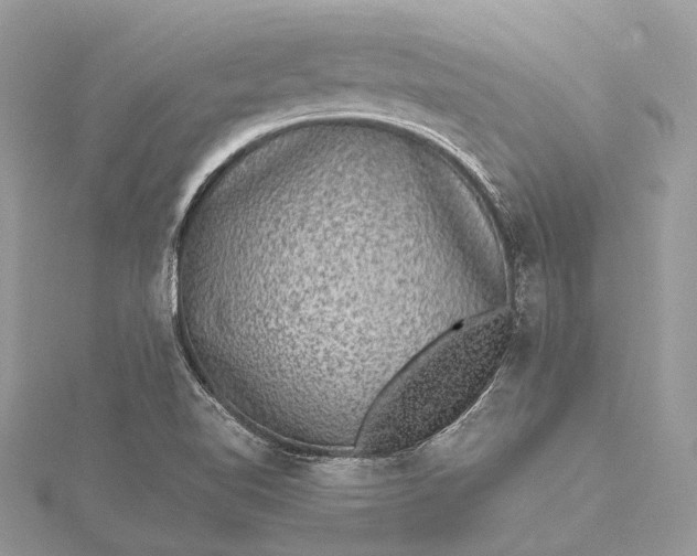 X0000115511510200911201628