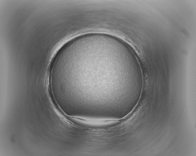 X0000115511511200911201628