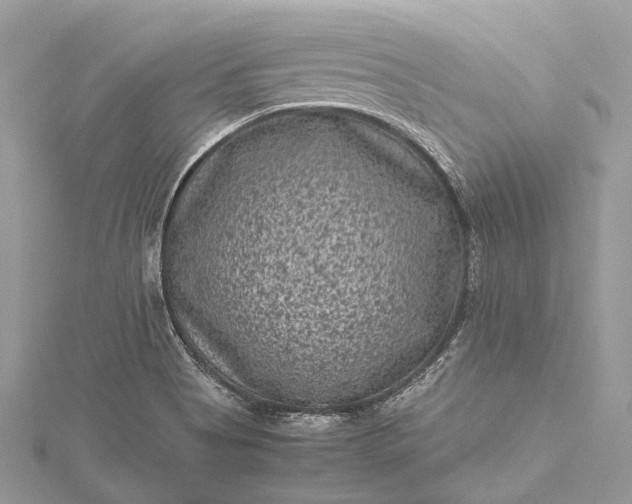 X0000115511513200911201628