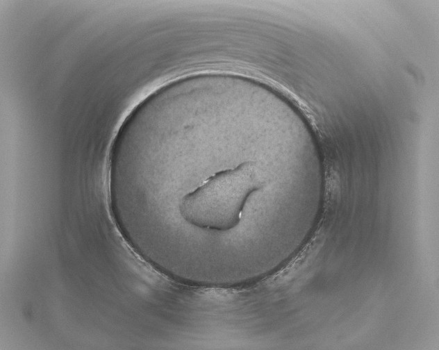 X0000115511514200911201628